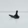 Sonda nivel baie ulei, cod 03C907660G, VW Golf 7 (5G) 1.6 TDI, CRK (id:661118)