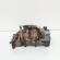 Pompa ulei, cod 03G115105C, Seat Exeo (3R2) 2.0 TDI, CAH (idi:662650)
