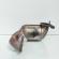 Catalizator, cod 8200223541, Renault Laguna 2, 1.9 DCI, F9Q (idi:665189)