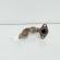 Conducta gaze, cod 03G131521T, Vw Golf 5 Variant (1K5) 2.0 TDI, AZV (idi:661722)