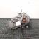 Cutie transfer fata, cod 75157480, Bmw X5 (E53) 3.0 diesel (id:665802)