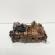 Pompa ulei, cod 03G115105G, 03L103537, Seat Exeo ST (3R5) 2.0 TDI, CAH (idi:665704)
