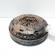 Volanta masa dubla cu placa presiune, Ford Focus 3 2.0 TDCI, UFDB, 6 vit man (id:662546)
