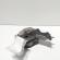 Pompa vacuum Luk, cod 038145209A, Skoda Octavia 1 Combi (1U5), 1.9 TDI, ASZ (idi:670083)
