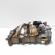 Pompa ulei, cod 03G115105C, Skoda Superb II Combi (3T5), 2.0 TDI, BMP (idi:673233)