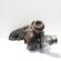 Turbosuflanta, cod 55191934, Fiat Bravo 2 (198), 1.9 JTDM, 937A5000 (idi:673247)