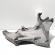 Suport accesorii, cod 8200183234, Renault Laguna 2, 1.9 DCI, F9Q750 (id:679931)