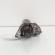 Electromotor, Seat Leon (1P1), 1.9 TDI, BXE, 5 vit man (idi:657590)