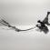 Timonerie, cod 8A6R-7C453-MAB, Ford Fiesta 6 1.6 TDCI, HHJE, 5 vit man (id:683599)