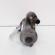 Electromotor cu start-stop, Skoda Octavia 3 (5E3), 1.6 TDI, CLH, 5 vit man (idi:656430)