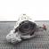 Cutie de viteze automata, cod PCG, Audi A4 Avant (8K5, B8) 2.0 TDI, CGL (id:684506)