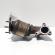 Catalizator, cod GM55565023, Opel Corsa D, 1.7 CDTI, Z17DTR (idi:684737)