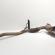 Catalizator, cod 6R0131690E, Seat Toledo 4 (KG3), 1.6 TDI, CAYC (id:691025)