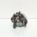 Pompa inalta presiune Denso, cod 8981030281, Opel Astra H Combi, 1.7 CDTI, A17DTR (idi:662345)