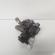 Pompa servo directie, cod 8D0145177Q, Audi A4 (8E2, B6) 1.9 TDI, AWX (id:694060)