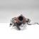 Turbosuflanta, cod 8201164371, 144117533R, Nissan Juke, 1.5 DCI, K9KB608 (id:695081)