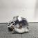Cutie viteze manuala, cod 6M5R-7002-ZB, Ford Focus 2 (DA), 1.8 TDCI, KKDA, 5 vit man (id:693162)