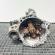 Cutie de viteza manuala, cod EGS, Seat Leon (1M1), 1.9 TDI, ALH, 5 vit man (idi:652353)