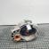 Cutie viteze manuala, cod HDV, VW Golf 5 (1K1), 2.0 TDI, BKD, 6 vit man (idi:695712)
