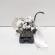 Broasca haion, Mazda 3 (BK) (id:701318)