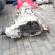 Cutie de viteze manuala, cod LLR, Audi A4 (8K2, B8) 2.0 TDI, CAG, 6 vit man (id:702751)