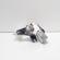 Motoras stergator haion, cod 8200734582, Dacia Duster (id:702537)