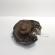 Fuzeta stanga spate, Vw Passat Variant (3C5), 2.0 TDI, BMR (id:702993)