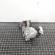 Cutie de transfer, cod 7635755-01, ATC350, Bmw X1 (E84) 2.0 diesel, N47D20C (id:695703)
