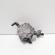 Pompa vacuum Bosch, cod 038145209M, Skoda Superb I (3U4) 2.0 TDI, BSS (id:703673)