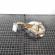 Fuzeta stanga fata cu ABS, cod A2052100, Mercedes Clasa C (W205) 2.2 CDI, OM651921 (id:704647)