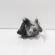 Pompa inalta presiune Bosch, cod 04L130755D, 0445010537, Audi Q5 (8RB) 2.0 TDI, CNH (id:705412)