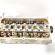 Chiulasa, cod 036103373AM, Vw Golf 4 (1J1) 1.6 benz, BCB (id:706845)