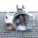 Cutie de viteze manuala, cod GGV, Vw Polo (9N) 1.4 TDI, AMF, 5 vit man (id:707473)
