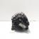Alternator, cod 2606523B, Renault Scenic 3, 1.6 DCI, R9M402 (idi:717744)