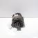 Alternator, cod 03L903016A, Audi A4 (8K2, B8) 2.0 TDI, CGL (idi:714844)