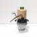 Pompa servo directie Trw, cod 8Z0423156F, Audi A2 (8Z0) 1.4 TDI, BHC (id:720711)