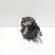 Pompa inalta presiune Delphi, cod 8200707450A, 8200057225, Renault Kangoo 1 Express 1.5 DCI, K9K704 (id:721480)