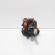 Pompa inalta presiune Siemens, cod 4M5Q-9B395-AD, Ford Focus 2 (DA) 1.8 TDCI, KKDA (id:722323)