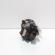 Pompa inalta presiune, cod 8200057346A, 8200057225, Renault Megane 2, 1.5 DCI, K9K722 (id:724013)
