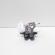 Broasca haion, Renault Kadjar (id:728402)