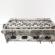 Chiulasa, cod 036103373AM, Vw Golf 4 (1J1) 1.6 benz, BCB (id:729956)