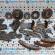 Kit distributie Audi A6 (4F2, C6) 3.0tdi