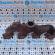 Galerie evacuare, 4M5Q-9428-BB, Ford Mondeo 4 Turnier 1.8tdci, QYBA