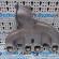 Galerie admisien 03G129713K, Seat Leon (1P1), 2.0tdi, BMM