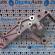Suport brat  trapez stanga fata 1K0199295E, Vw Golf 6 Plus, 1.4b (id:188909)
