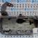 Baie ulei, GM55194355, Opel Astra H 1.9cdti, Z19DTH