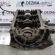 Bloc motor gol AFB, Audi A4 (8D2, B5) 2.5tdi (id:194463)