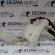 Vas strop gel 3C0955453J, Vw Passat (3C2) 2005-2010