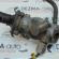 Corp termostat, 9624839210, Citroen DS4, 1.6hdi, 9HP