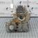 Bloc motor gol, 306D5, Bmw X6 (E71, E72) 3.0D (pr:110747)